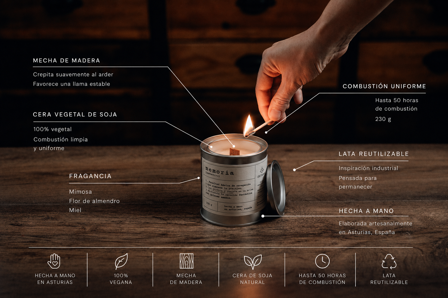 Infografia web_Memoria Infografia web Memoria